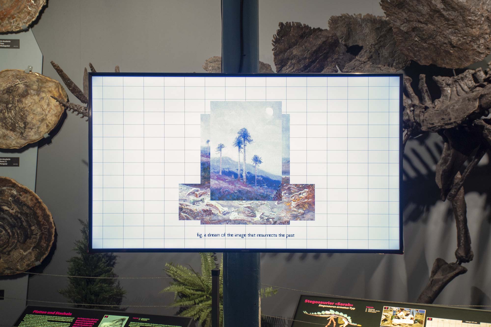 exhibition view at Sauriermuseum Aathal