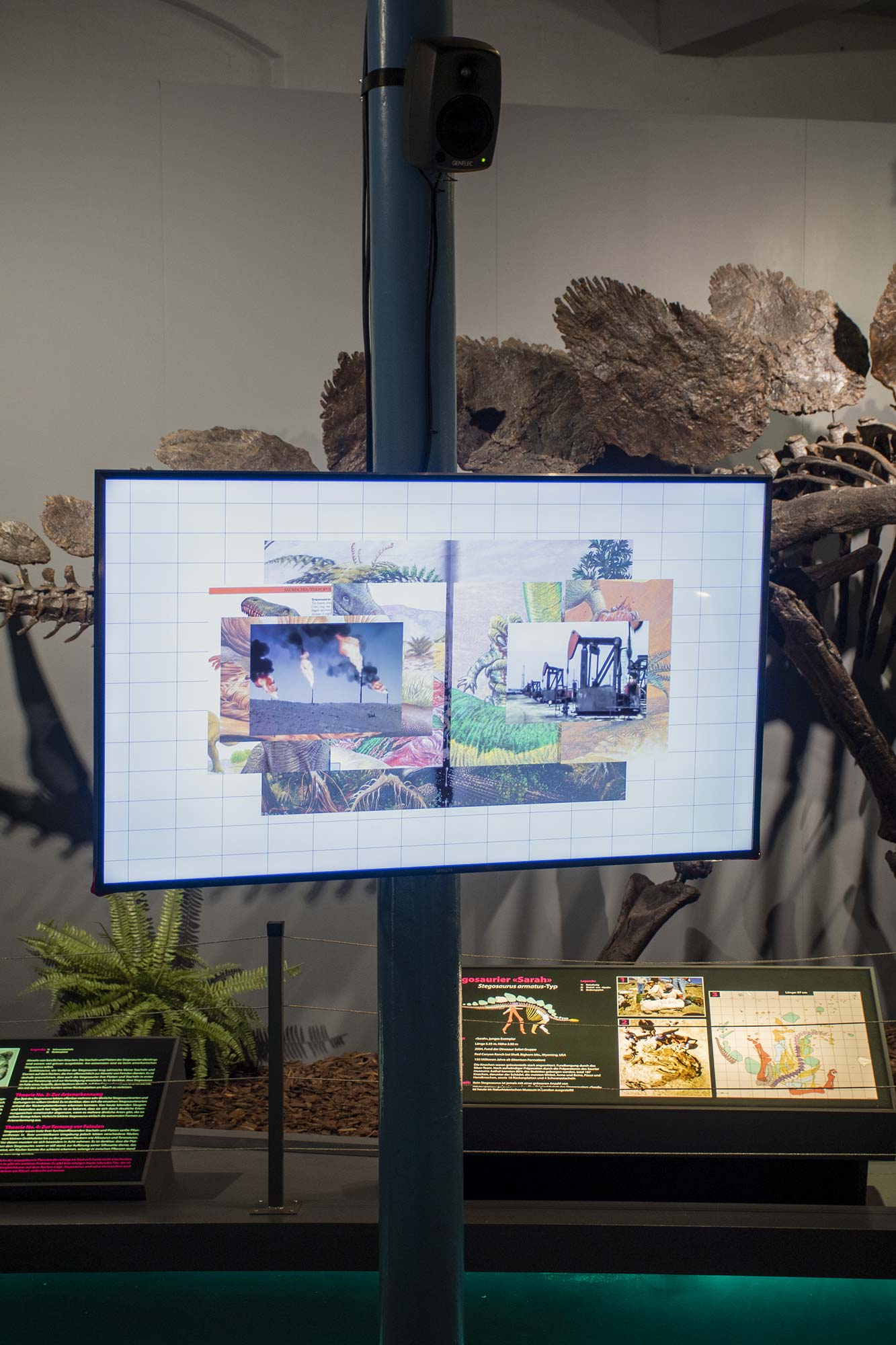 exhibition view at Sauriermuseum Aathal